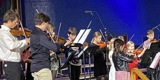 Strykeinstrument / orkester